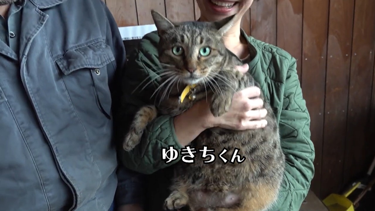 能美市中町